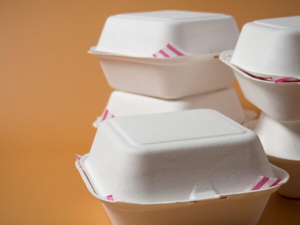 Takeout Lunch Boxes