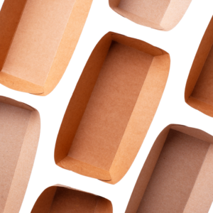 Paper Food Tray